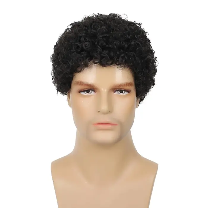 Tereshar synthétique hommes bouclés Afro perruques courte perruque bouclée pour homme gars Rocker