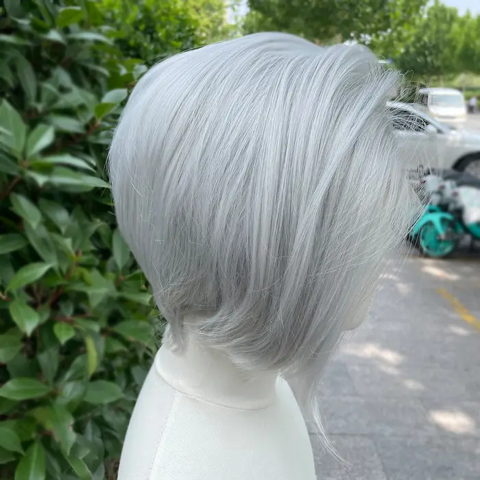Perruque Lace Front Wig synthétique courte coupe Bob gris argenté, perruques de Cosplay pour hommes