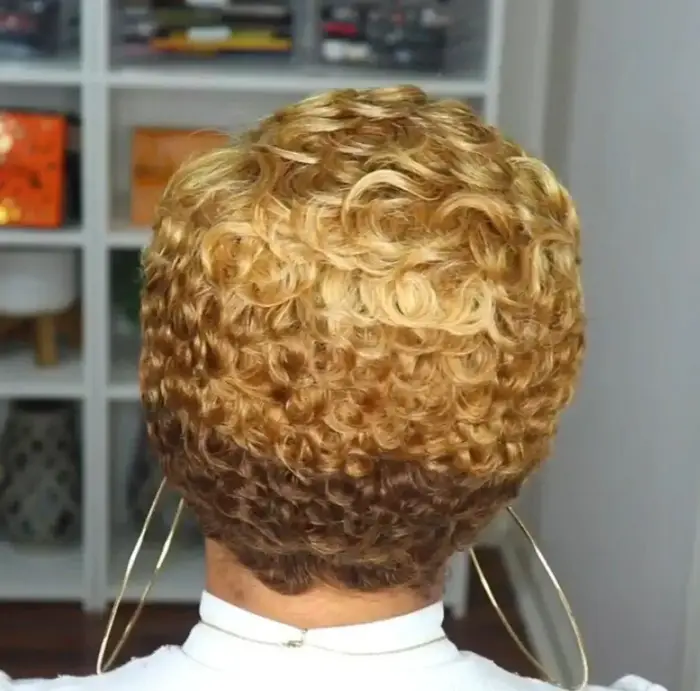 Perruque Afro Brésilienne Naturelle