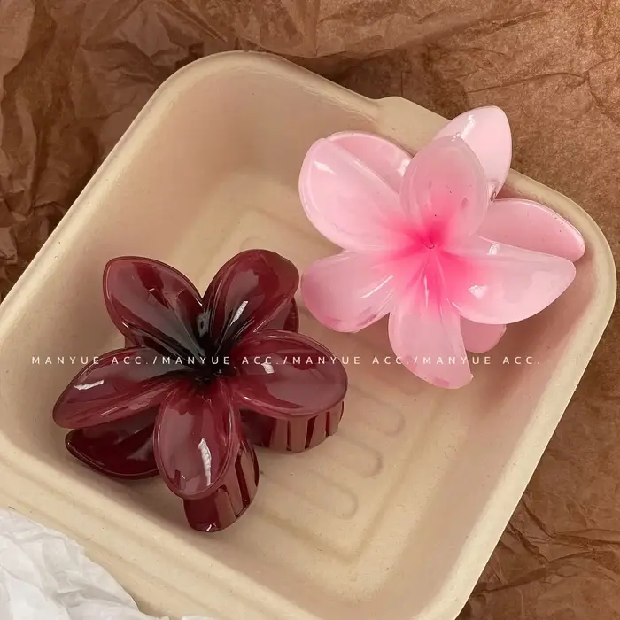 Pinces à cheveux hawaïennes dégradées