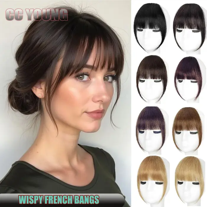 Wispy français frange de cheveux humains pince