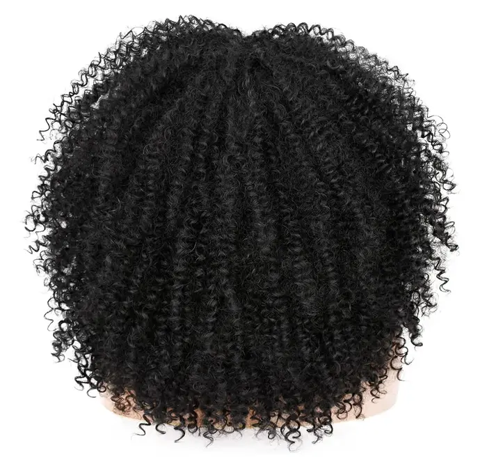 Perruque Afro bouclée crépue avec frange pour femmes noires
