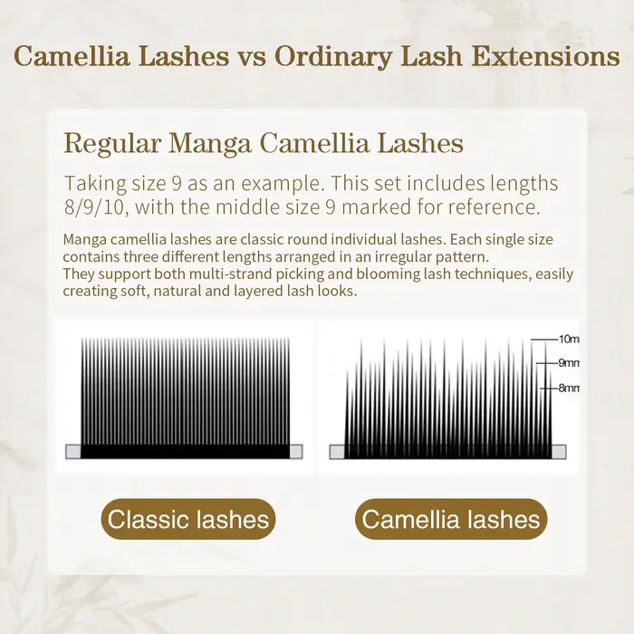 Cils en éventail préfabriqués Honey Eyelash J B C D Camellia