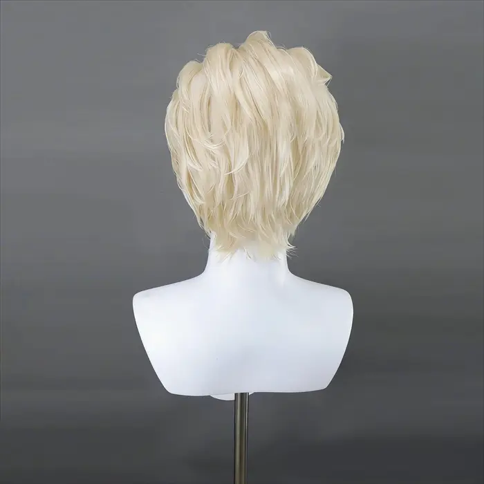 Perruque de cosplay Alexander Anderson, cheveux synthétiques résistants à la chaleur pour costume d'anime, Halloween, carnaval, jeu de rôle