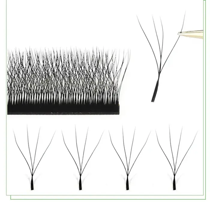 Extensions de cils pré-faits en forme de W MARIA 3D 4D 5D 6D 7D – Éventails