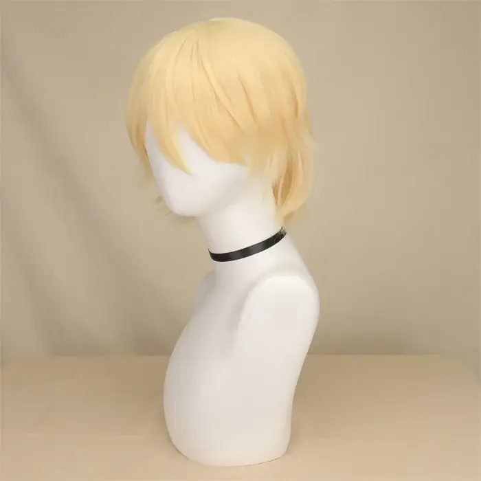 QQXCAIW – perruque de Cosplay synthétique courte et lisse pour hommes et femmes
