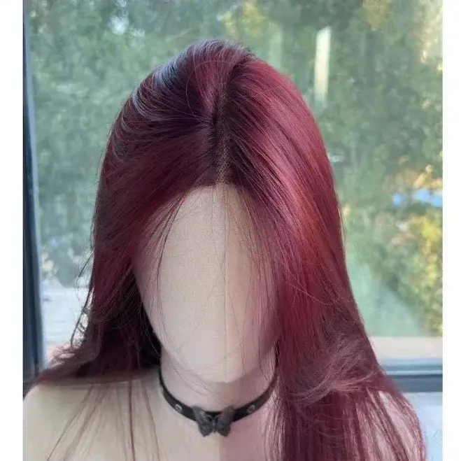 Perruque Lace Front Synthétique Longue et Lisse pour Femme