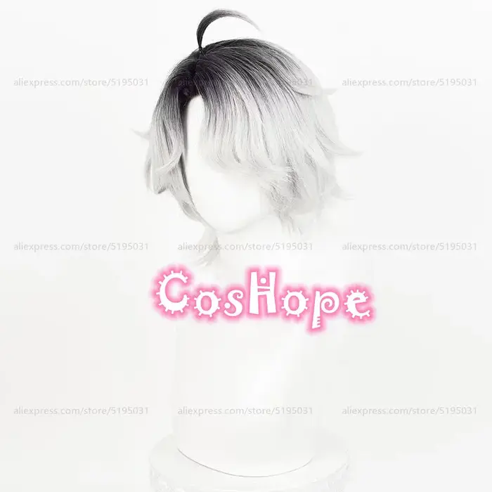 Patient Emil Cosplay perruque 30 cm court noir argent blanc dégradé