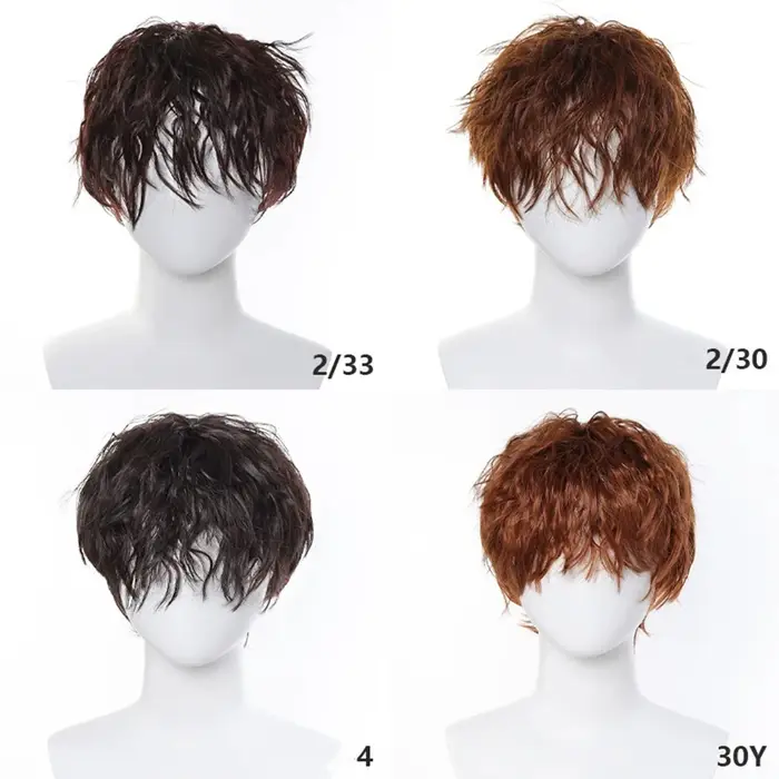 Perruque synthétique frisée crépue pour homme