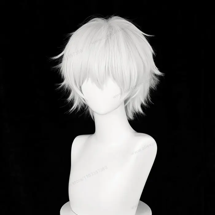 Kaneki Ken Cosplay perruque 30 cm court argent blanc homme cheveux Anime résistant à la chaleur perruques synthétiques