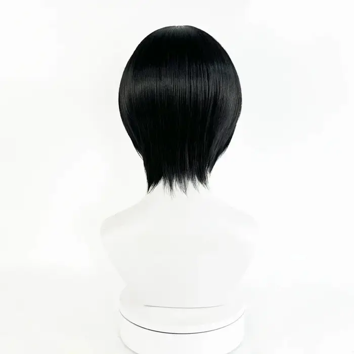 Perruque de Cosplay synthétique noire unisexe pour adultes