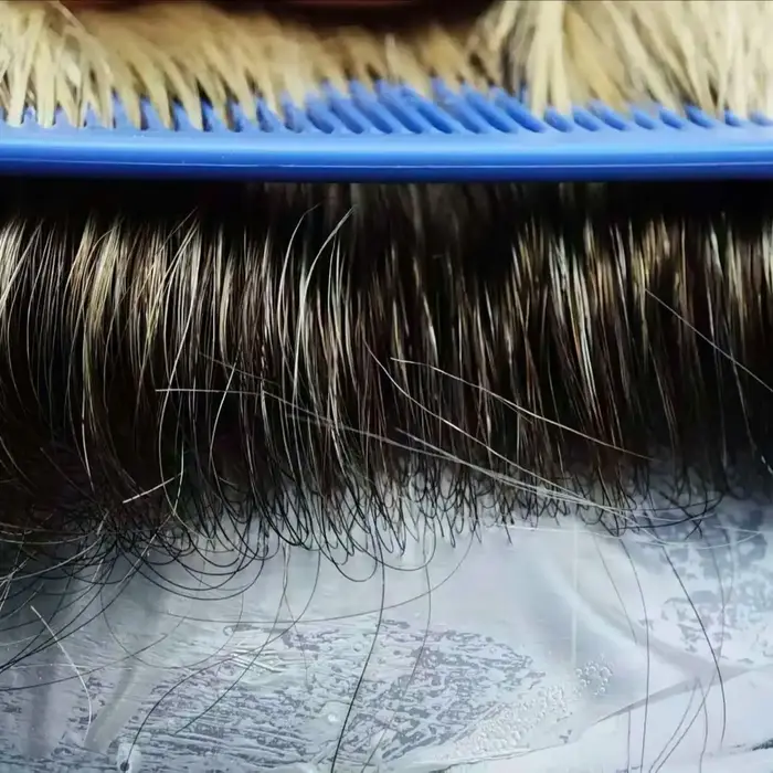 Perruques en cheveux humains couleur 4-613 d'Australie