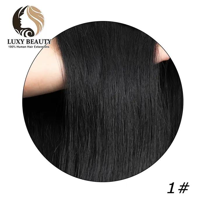 Extensions de Cheveux Humains avec Trame de Plumes, Ligne de Poisson Naturelle, Non-Remy, Micro Anne