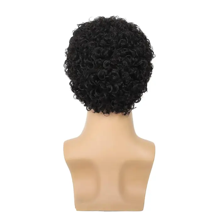 Tereshar synthétique hommes bouclés Afro perruques courte perruque bouclée pour homme gars Rocker
