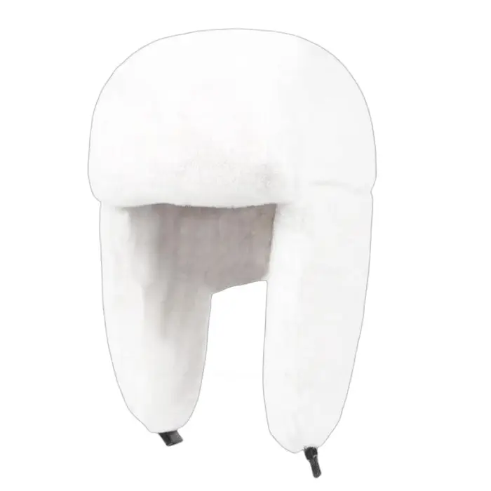 Perruque de Cosplay synthétique noire courte avec bonnet, de haute qualité, Anime Bungo Stray Dogs f