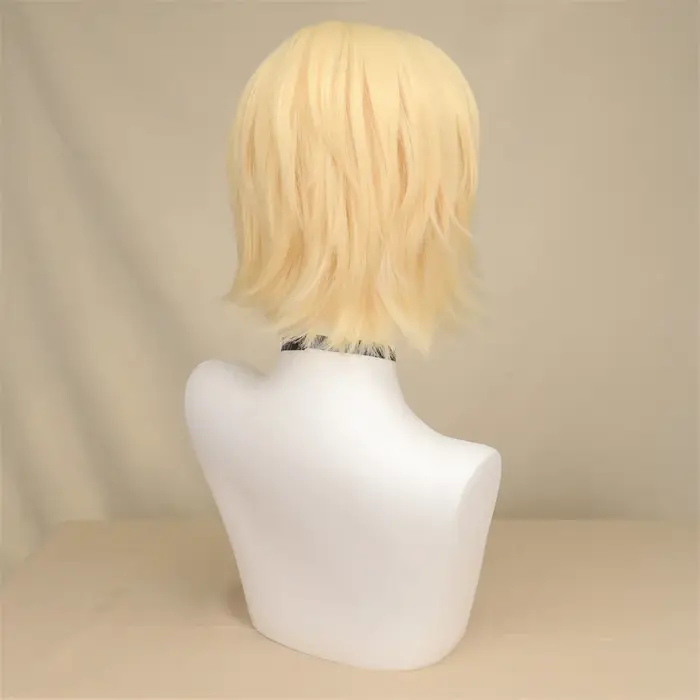 QQXCAIW – perruque de Cosplay synthétique courte et lisse pour hommes et femmes