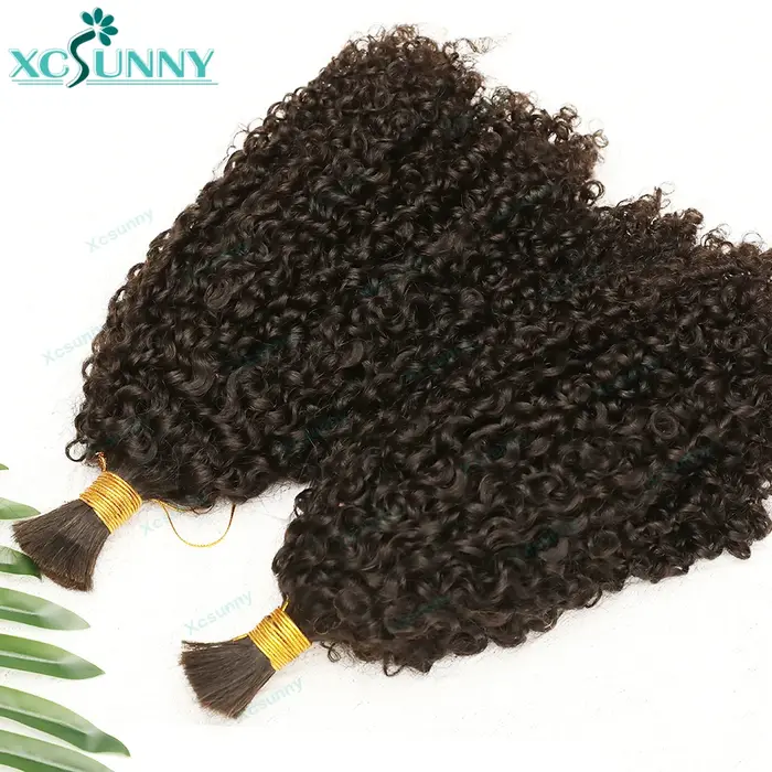 Extensions de Cheveux Humains Crépus et Bouclés pour Tressage