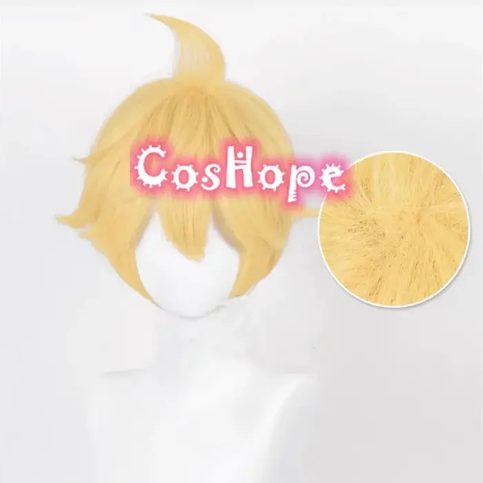 Len Cosplay perruque 30 cm