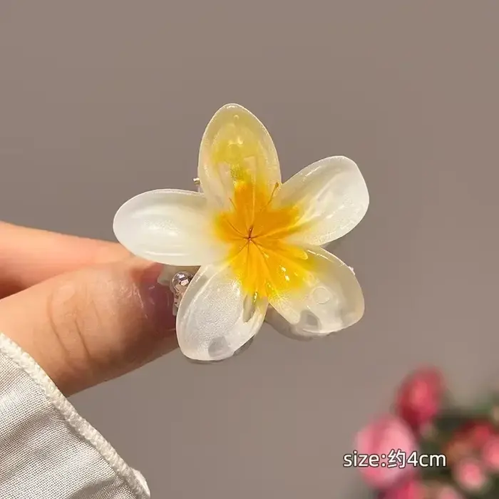 Pinces à cheveux hawaïennes dégradées