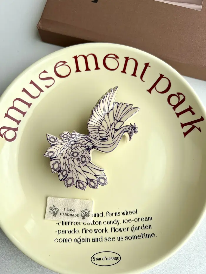 Pinces à cheveux à griffes d'oiseau. Style familial d'été unique et décontracté. Acétate