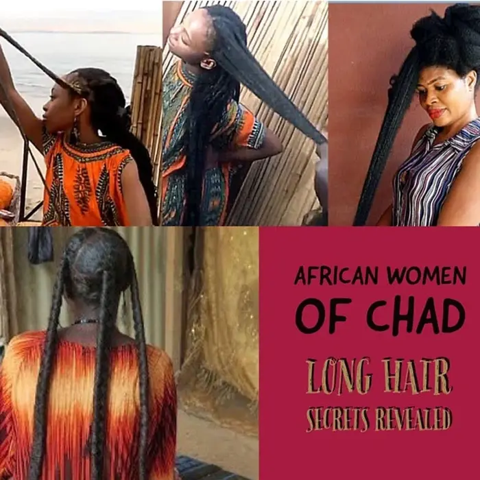 Shampoing Traitant la Chute de Cheveux pour Hommes et Femmes