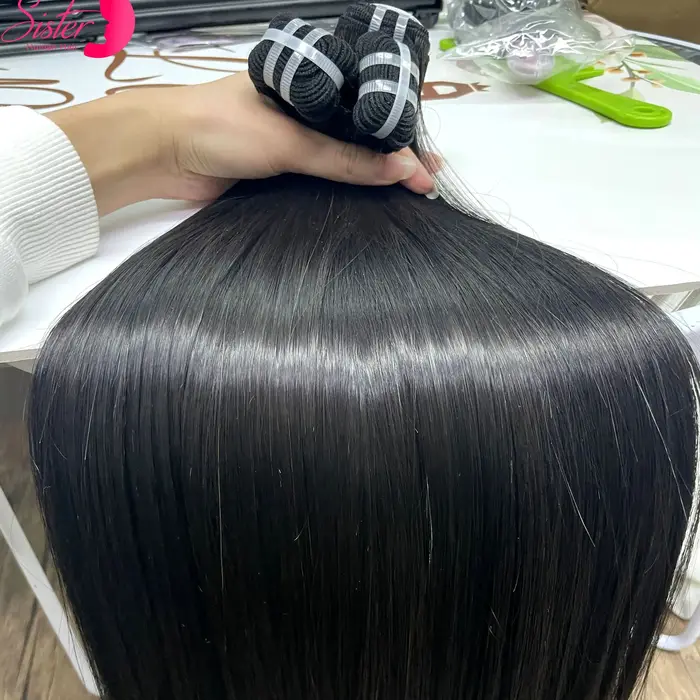 Bundles de cheveux humains raides vietnamiens Sophia