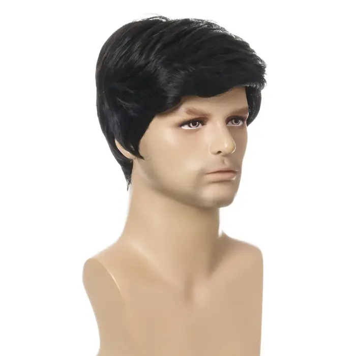 Perruque Synthétique Courte Noire et Lisse pour Homme