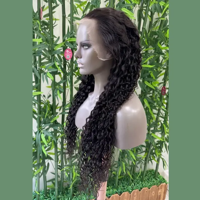 HD Lace Water Wave 13x6 5x5 6x6 Wig Raw Human Hair Wigs Pre Plucked Natural Hairline Melt Skin
