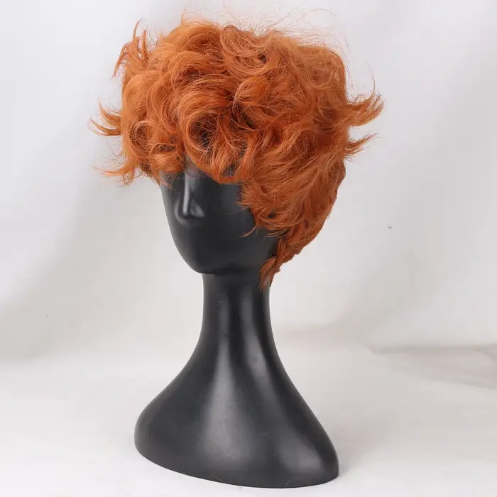 Perruque de Cosplay Anime pour jeunes hommes