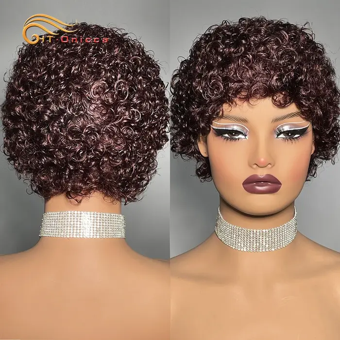 Kinky Curly Human Hair Wigs for Women