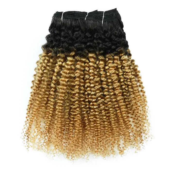 T1B 27-Extension de Cheveux Humains Crépus Afro