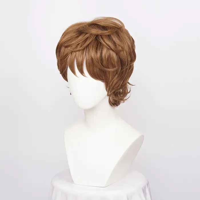 Perruques Cosplay synthétiques courtes et bouclées pour hommes