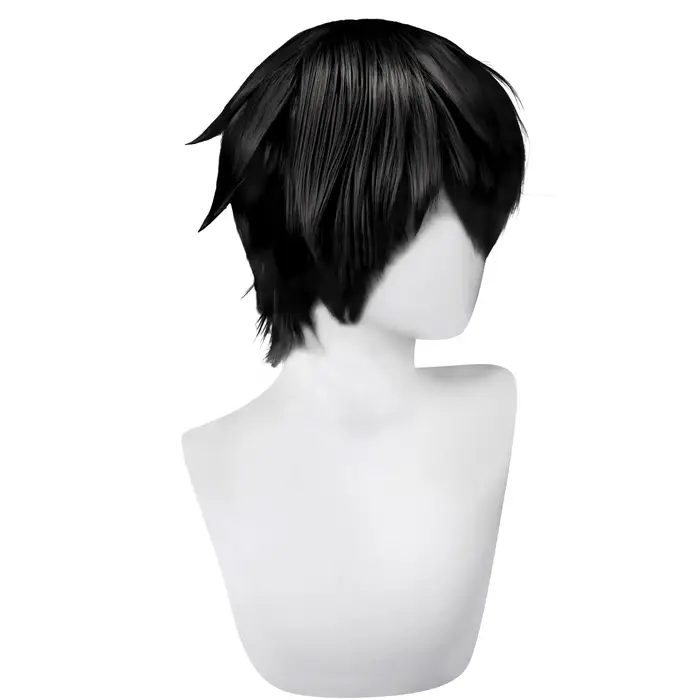 Perruque noire pour hommes et femmes