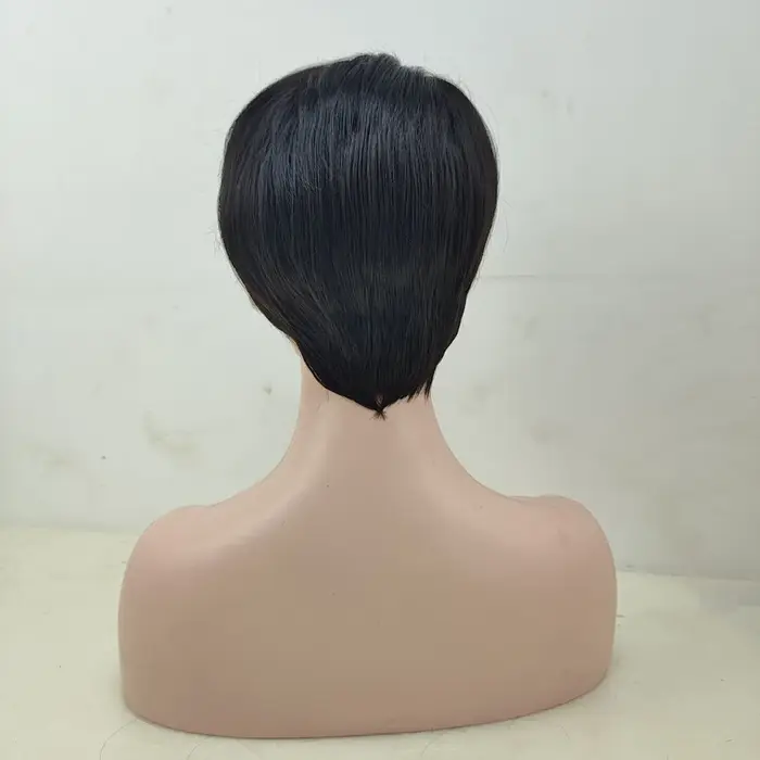 HAIRJOY – perruque synthétique courte et lisse pour femmes afro-américaines
