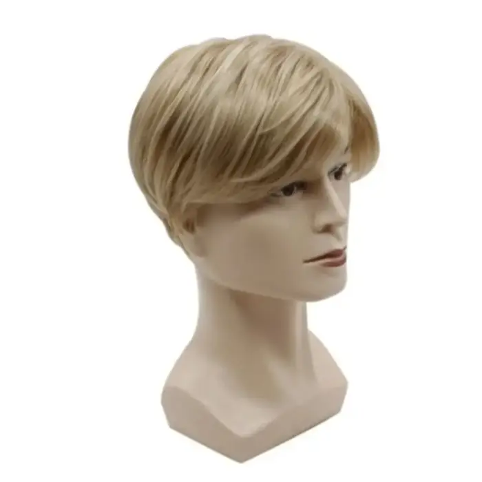 Perruque Synthétique Courte et Lisse pour Homme