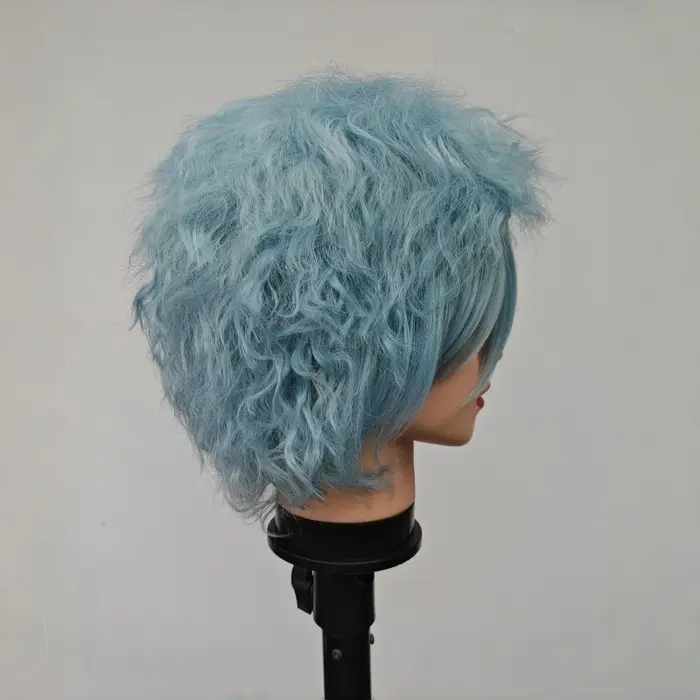 Perruque de Cosplay Courte et Bouclée avec Bonnet