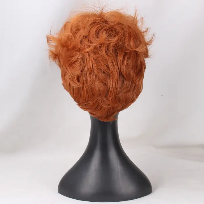 Perruque de Cosplay Anime pour jeunes hommes