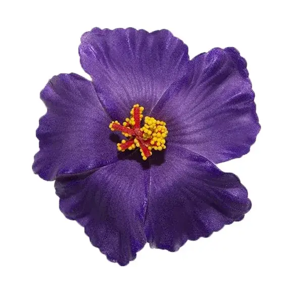 Bandeau de cheveux en fleurs d'hibiscus, pince à cheveux, fête sur la plage, mariage, accessoire flo