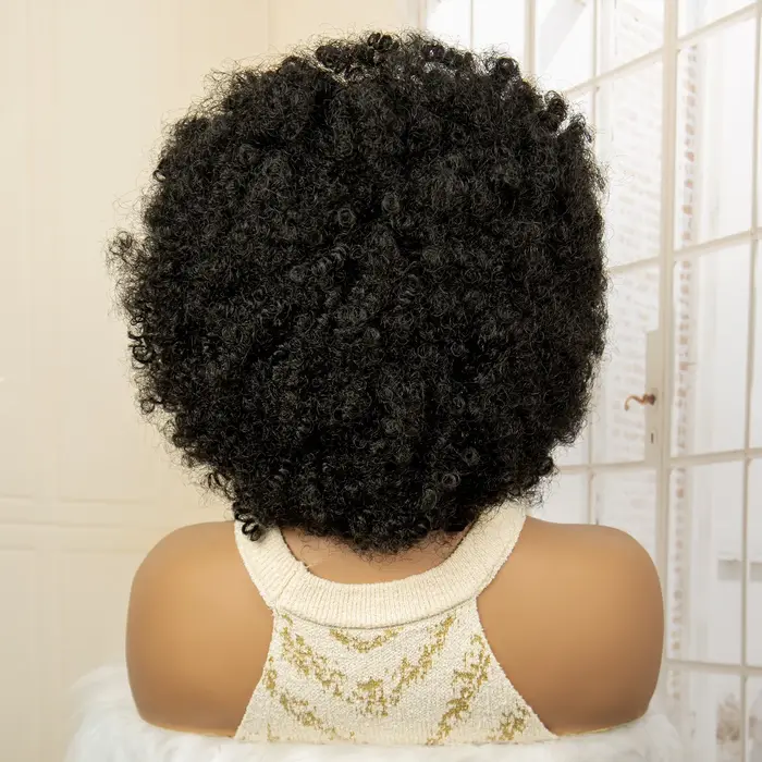 Perruque tressée Afro pleine dentelle pour femmes