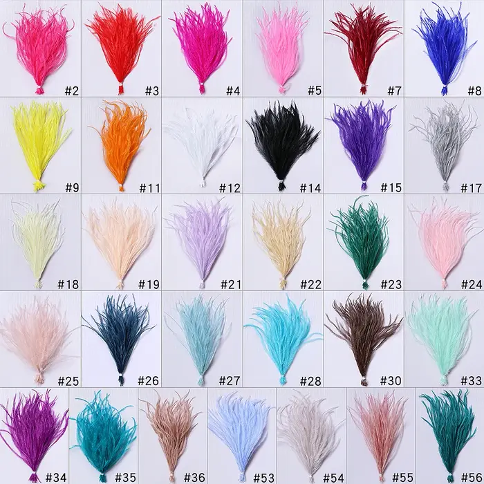 Plumes d'autruche naturelles à Clip