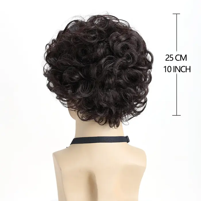 Perruque synthétique ondulée courte bouclée naturelle brune de 10 pouces pour hommes jeunes hommes, 