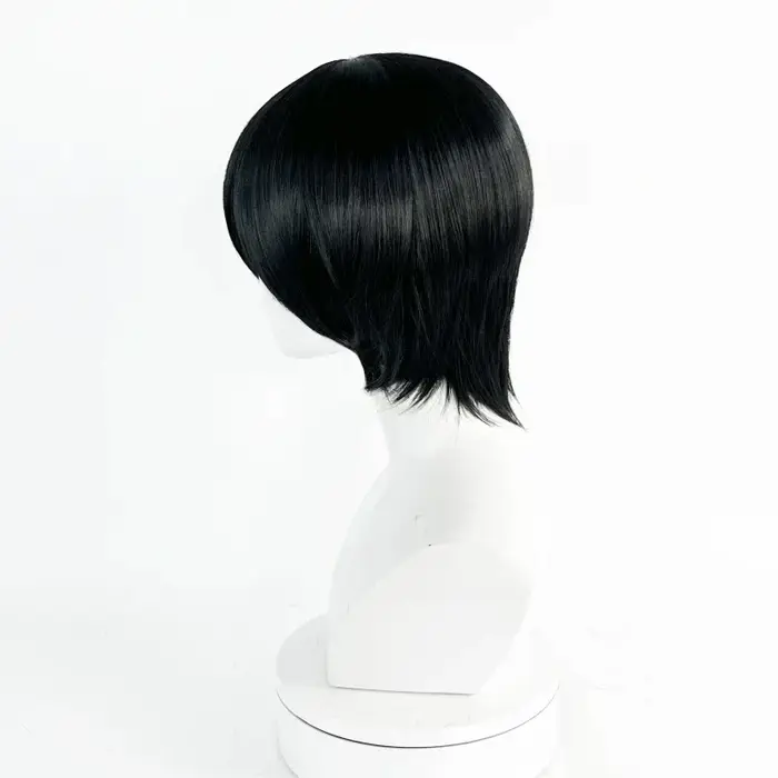 Perruque de Cosplay synthétique noire unisexe pour adultes