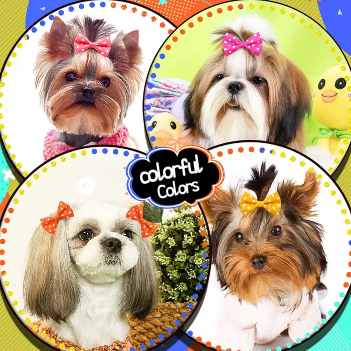 Pinces à cheveux pour chien