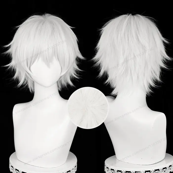 Kaneki Ken Cosplay perruque 30 cm court argent blanc homme cheveux Anime résistant à la chaleur perruques synthétiques