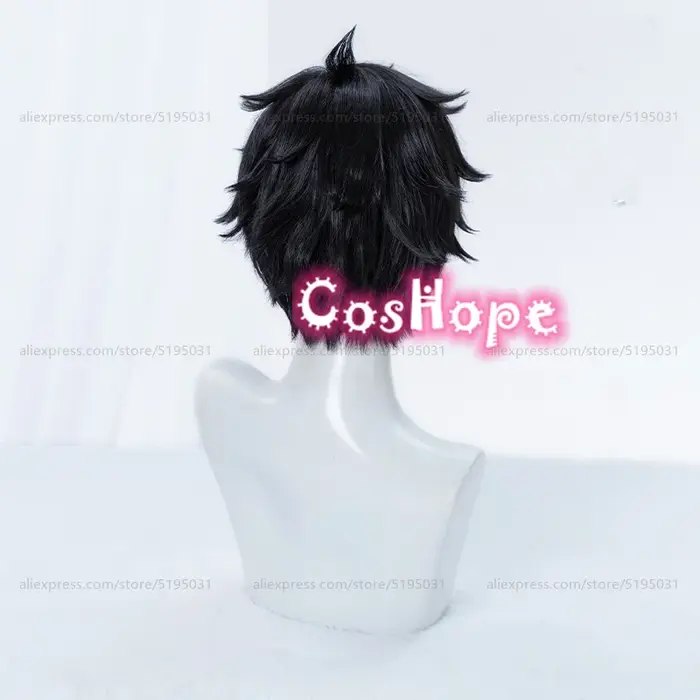 Dan Heng Cosplay perruque 30 cm perruque courte perruque noire Cosplay Anime Cosplay perruques résistant à la chaleur perruques synthétiques