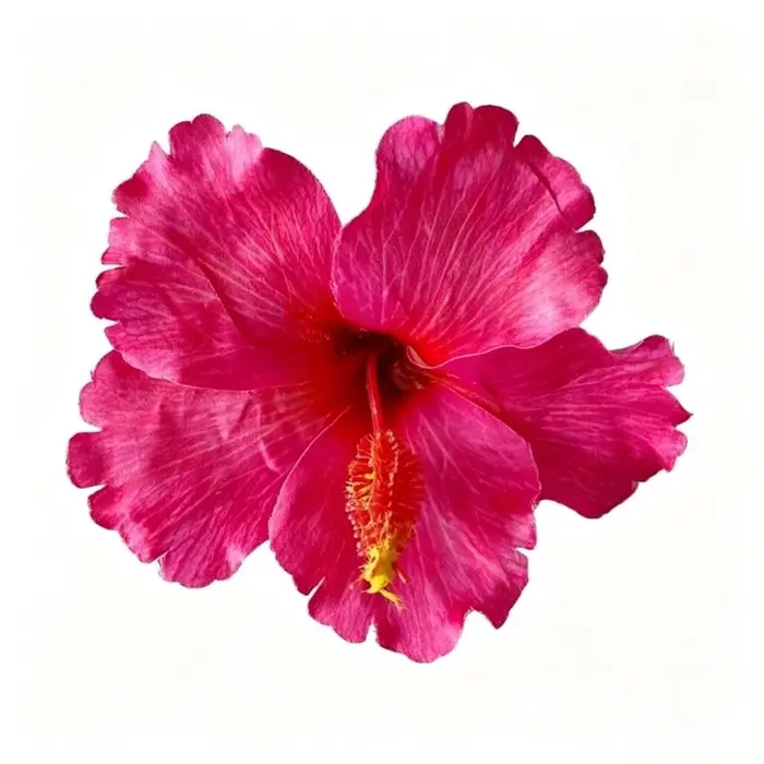 Pince à cheveux fleur d'hibiscus artificielle