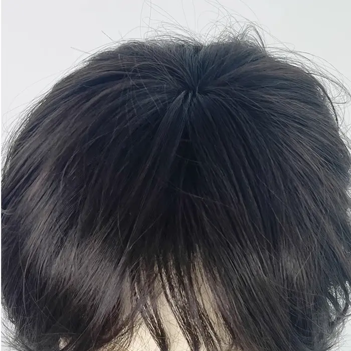 Perruque synthétique courte et lisse noire avec frange pour hommes