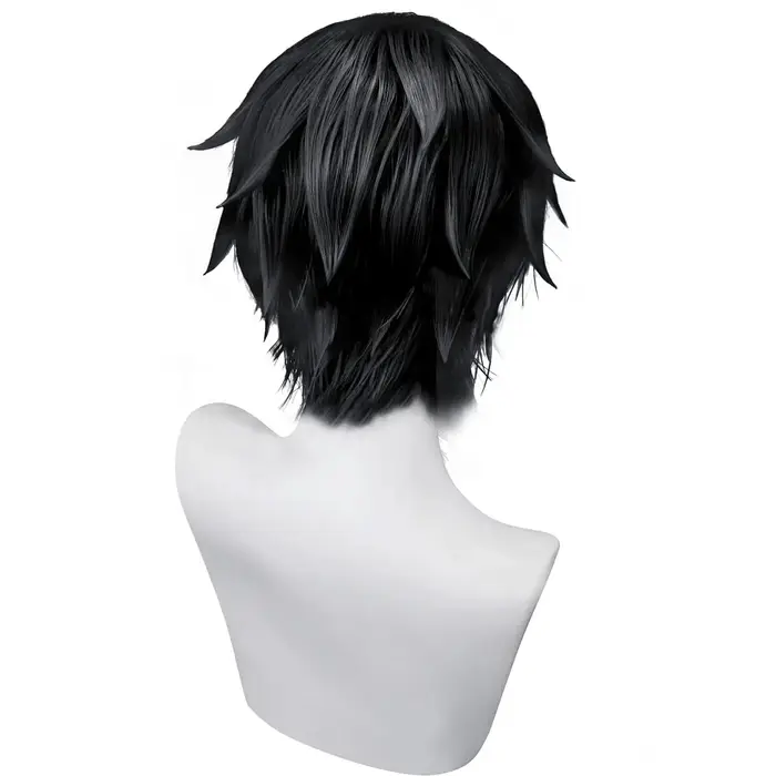Perruque noire pour hommes et femmes