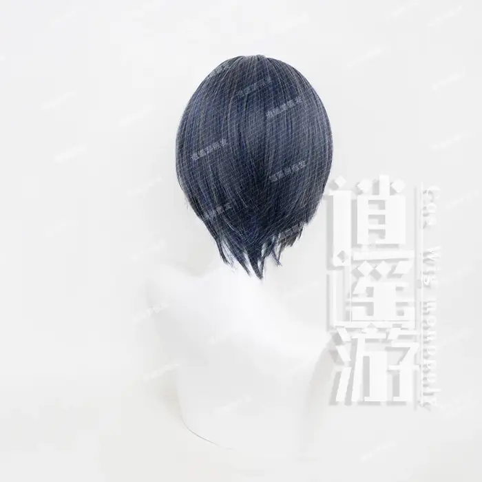 Perruque de Cosplay Black Butler Ciel Phantomhive