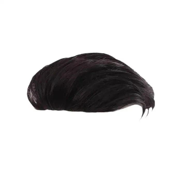 Perruque synthétique lisse et ondulée pour hommes